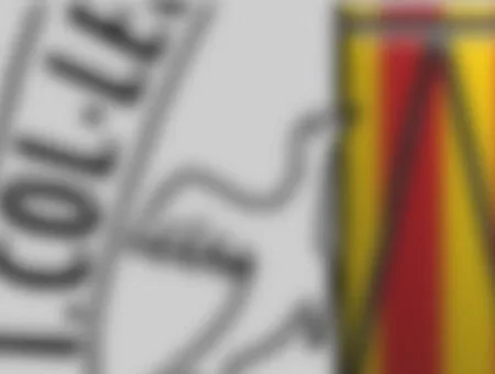 Anunci per a la contractació de d'elaboració del projecte i l'execució de les obres de reforma i les instal·lacions d'adequacio de la nova seu col·legial.